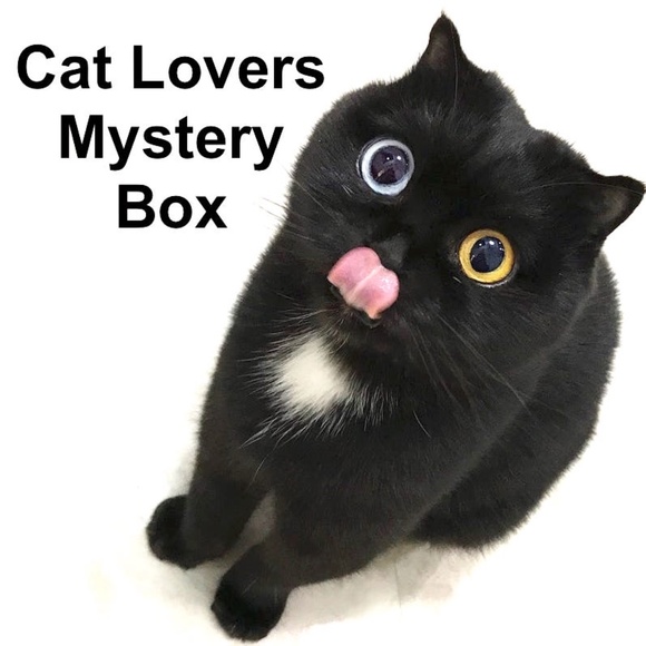 Cat Lovers Eclectic Mystery Gift Surprise Box Lot Unisex Men Women Birthday Xmas - Picture 1 of 4